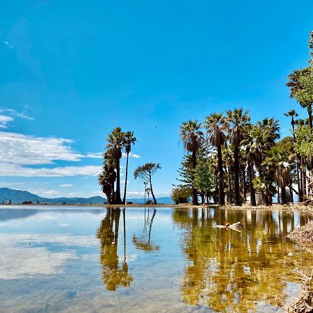 La Casa Del Riu Vell Villa Sant Jaume d'Enveja Bagian luar foto