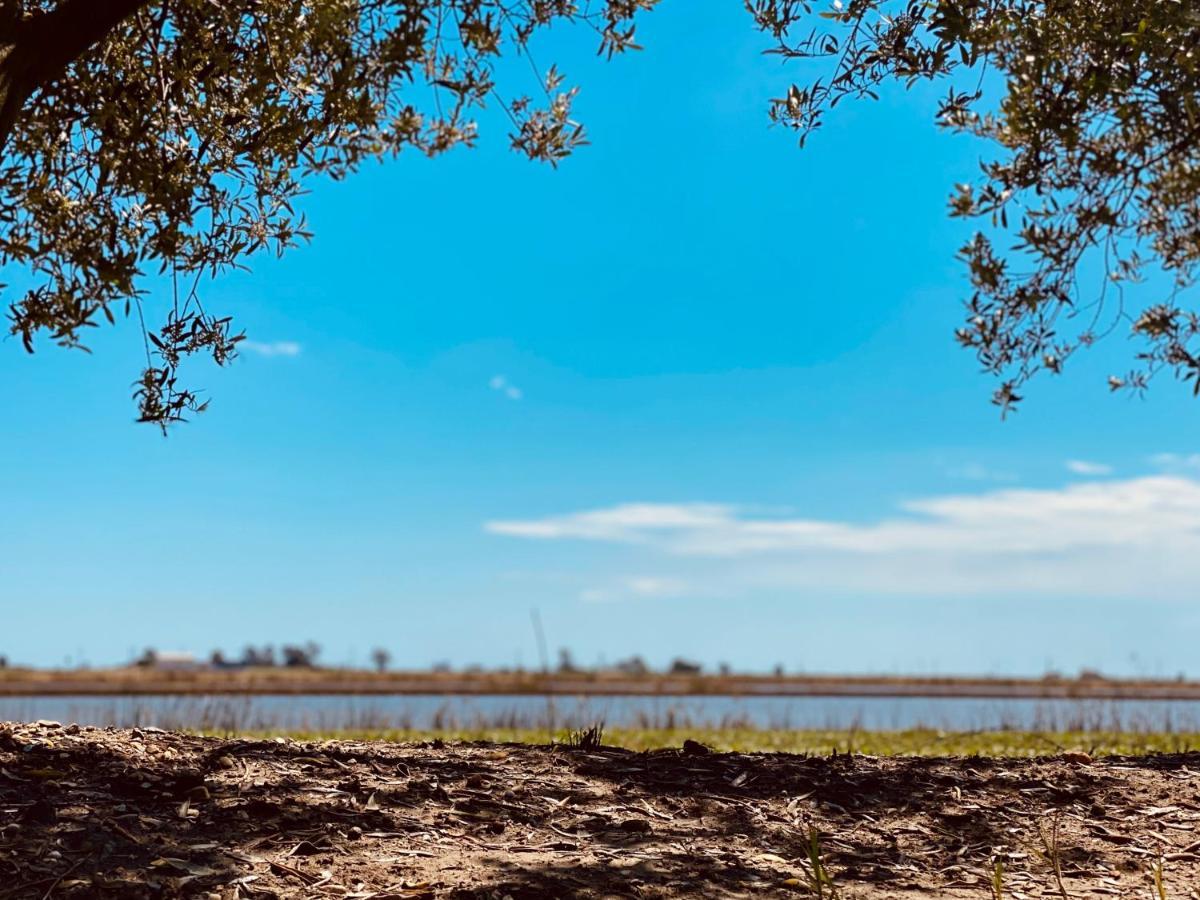 La Casa Del Riu Vell Villa Sant Jaume d'Enveja Bagian luar foto